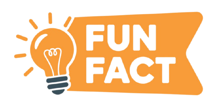 Fun Fact